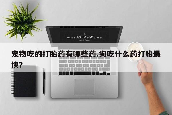 正品打胎药微信购买方式宠物吃的打胎药有哪些药.狗吃什么药打胎最快？