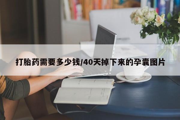 正品打胎药微信购买方式打胎药需要多少钱/40天掉下来的孕囊图片